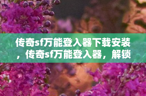 传奇sf万能登入器下载安装图片