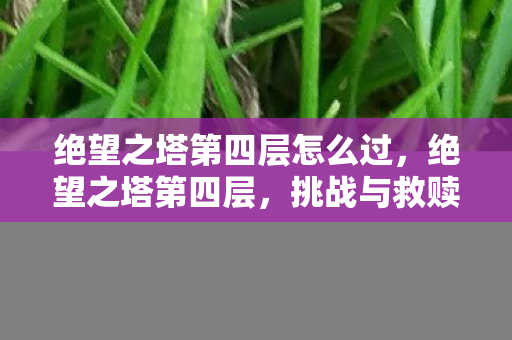 绝望之塔第四层怎么过，绝望之塔第四层，挑战与救赎的交织
