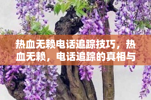 热血无赖电话追踪技巧，热血无赖，电话追踪的真相与揭秘