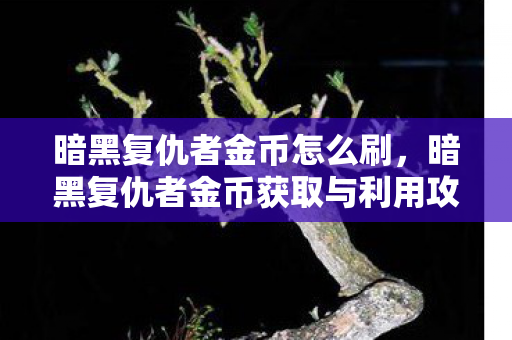 暗黑复仇者金币获取与利用攻略图片