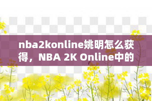 nba2konline姚明怎么获得，NBA 2K Online中的姚明传奇