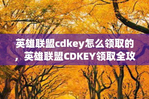 英雄联盟cdkey怎么领取的图片