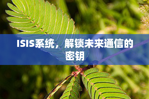 解锁未来通信的密钥图片