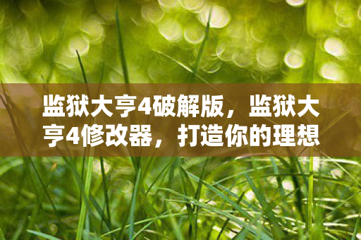 监狱大亨4破解版，监狱大亨4修改器，打造你的理想监狱帝国