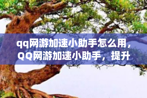 qq网游加速小助手怎么用图片