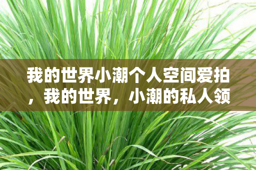 我的世界小潮个人空间爱拍，我的世界，小潮的私人领地