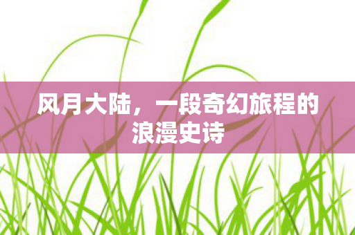 一段奇幻旅程的浪漫史诗图片