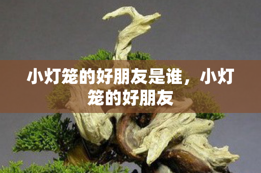 小灯笼的好朋友是谁图片