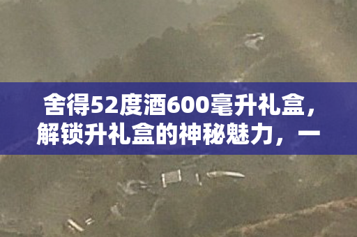 舍得52度酒600毫升礼盒，解锁升礼盒的神秘魅力，一场关于惊喜与期待的探索之旅
