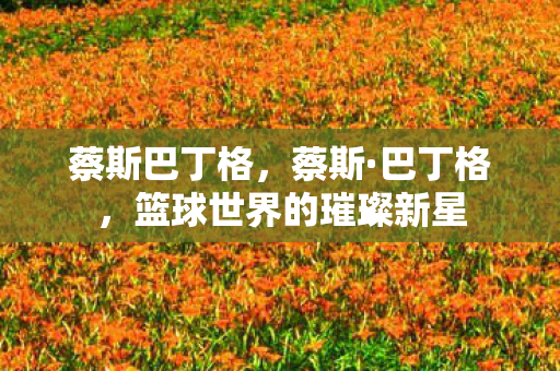 蔡斯巴丁格，蔡斯·巴丁格，篮球世界的璀璨新星