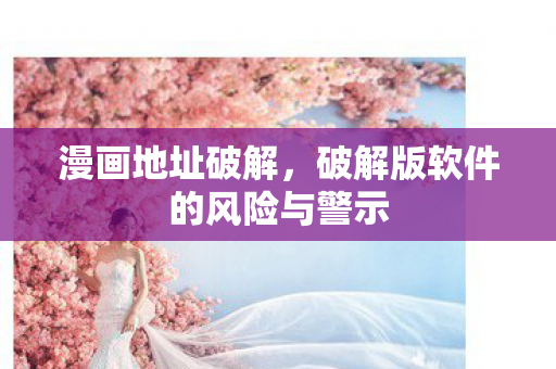 破解版软件的风险与警示图片