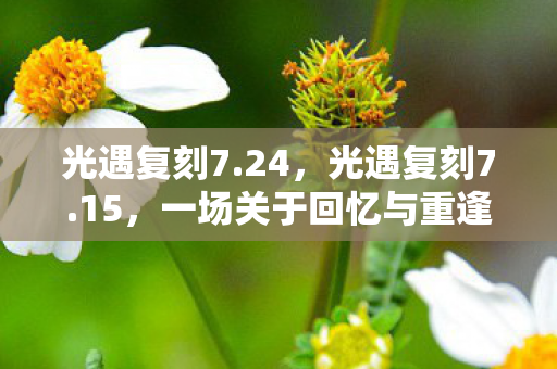 一场关于回忆与重逢的旅行图片