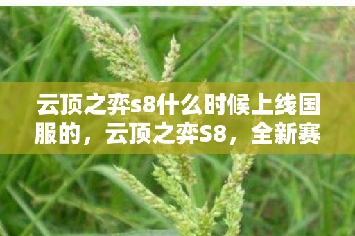 云顶之弈s8什么时候上线国服的图片