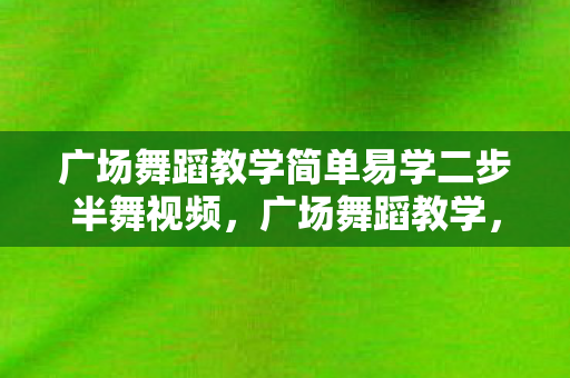 广场舞蹈教学简单易学二步半舞视频图片