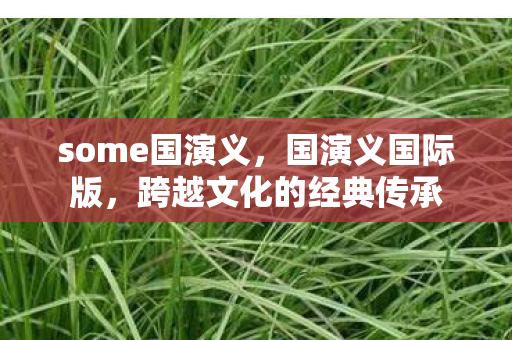 some国演义，国演义国际版，跨越文化的经典传承