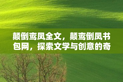 探索文学与创意的奇妙之旅图片