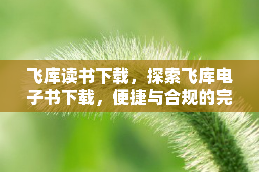 飞库读书下载，探索飞库电子书下载，便捷与合规的完美结合