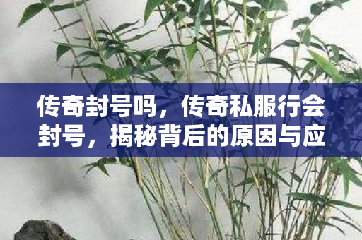 传奇封号吗，传奇私服行会封号，揭秘背后的原因与应对之策