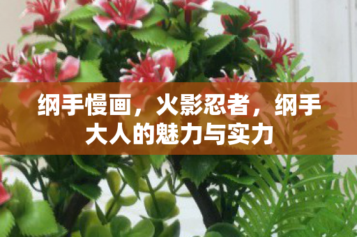 纲手大人的魅力与实力图片