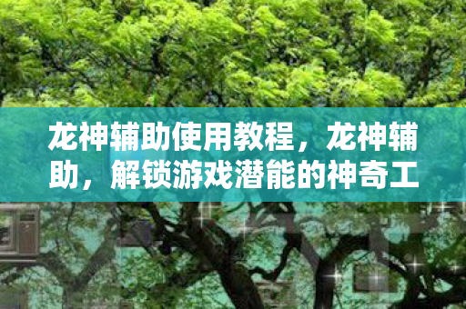 龙神辅助使用教程，龙神辅助，解锁游戏潜能的神奇工具