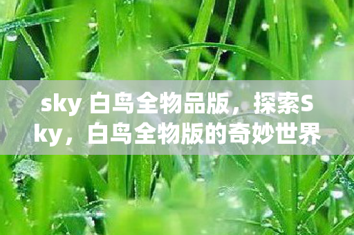 sky 白鸟全物品版，探索Sky，白鸟全物版的奇妙世界
