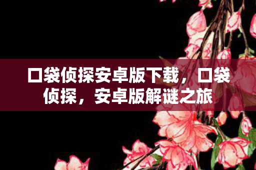口袋侦探安卓版下载，口袋侦探，安卓版解谜之旅