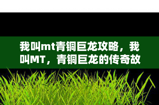 我叫mt青铜巨龙攻略图片