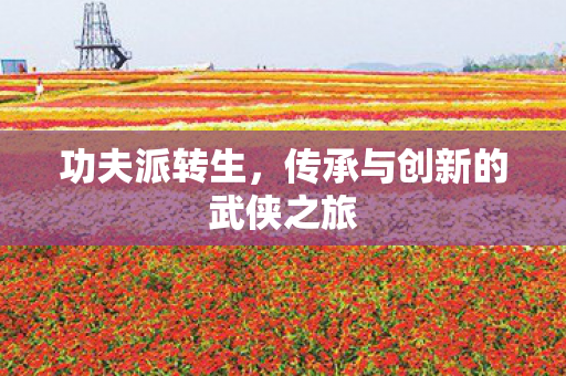 传承与创新的武侠之旅图片