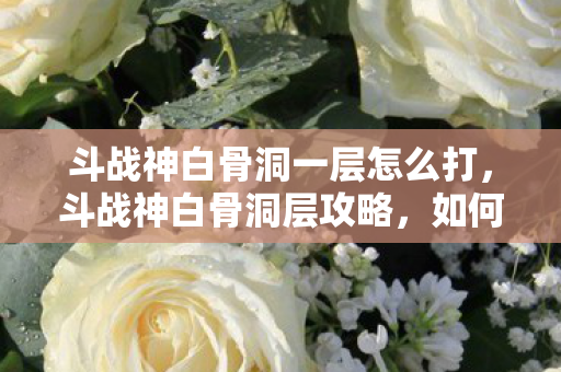 斗战神白骨洞一层怎么打图片