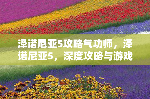 泽诺尼亚5攻略气功师图片