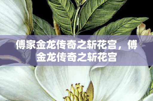 傅家金龙传奇之斩花宫图片