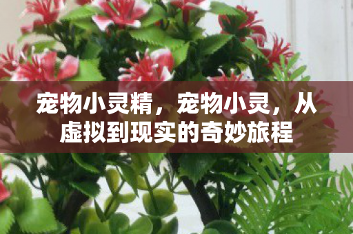 从虚拟到现实的奇妙旅程图片