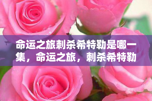 命运之旅刺杀希特勒是哪一集图片