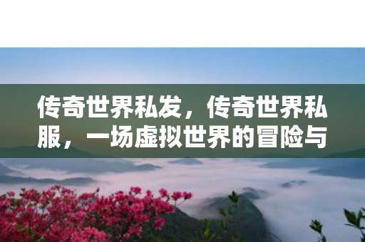 一场虚拟世界的冒险与探索图片