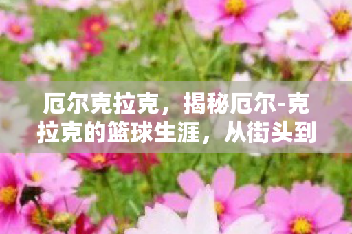 厄尔克拉克，揭秘厄尔-克拉克的篮球生涯，从街头到NBA的传奇之路