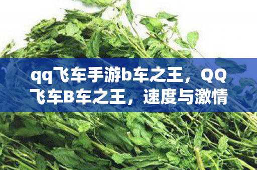 qq飞车手游b车之王图片