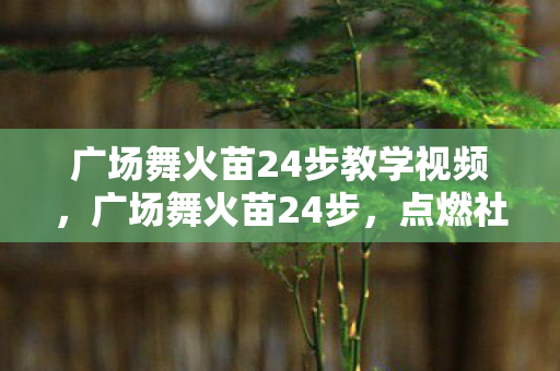 广场舞火苗24步教学视频图片