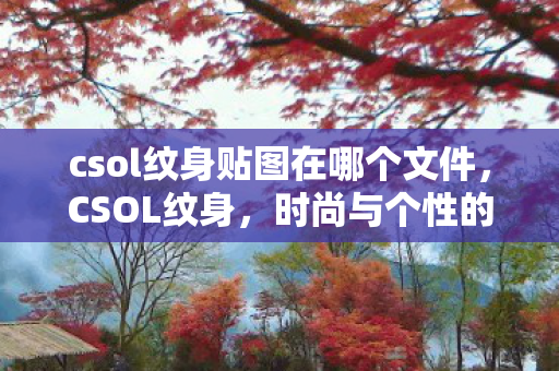 csol纹身贴图在哪个文件图片