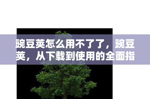 从下载到使用的全面指南图片