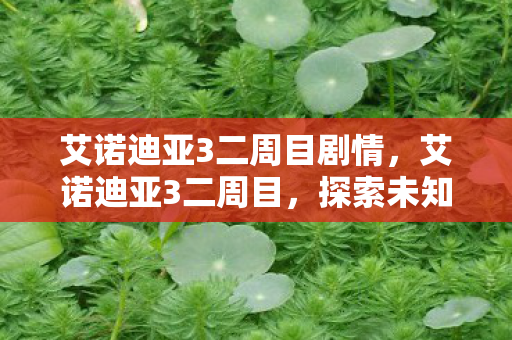 艾诺迪亚3二周目剧情图片