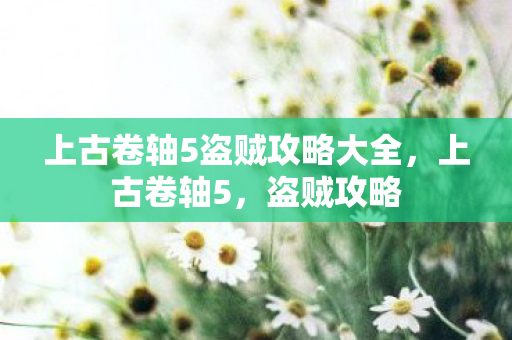 上古卷轴5盗贼攻略大全图片