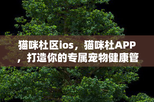 打造你的专属宠物健康管理平台图片