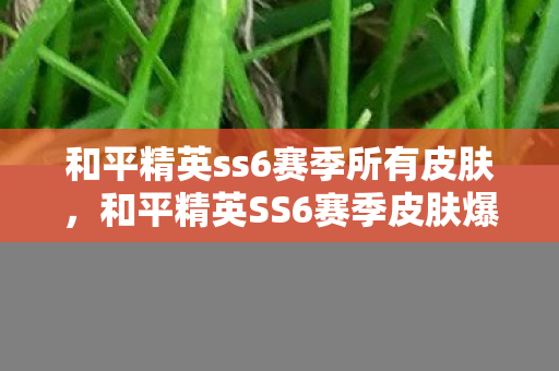 和平精英ss6赛季所有皮肤图片