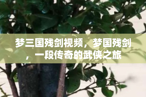 一段传奇的武侠之旅图片