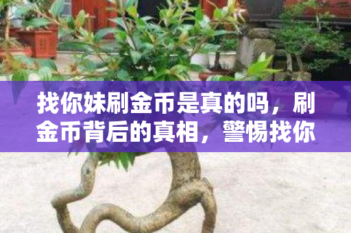 警惕找你妹游戏内的非法行为图片