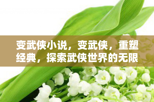 变武侠小说，变武侠，重塑经典，探索武侠世界的无限可能