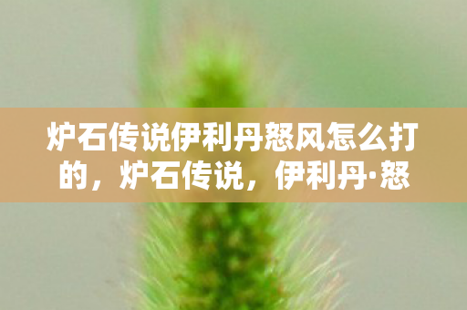 炉石传说伊利丹怒风怎么打的图片