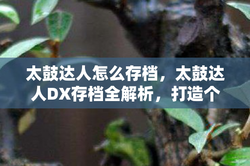 太鼓达人DX存档全解析图片