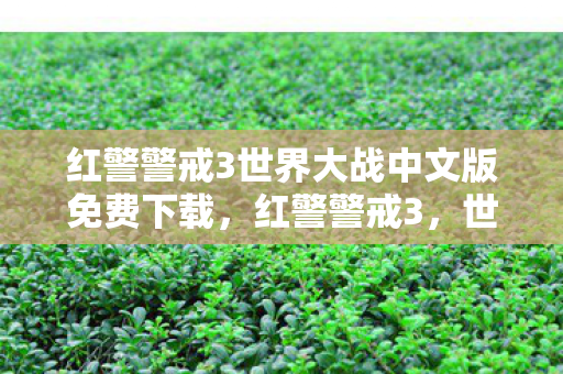 红警警戒3世界大战中文版免费下载图片