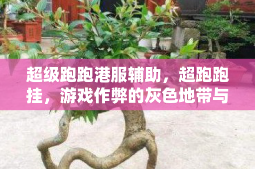 游戏作弊的灰色地带与反思图片